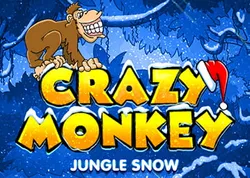 Crazy Monkey Winter